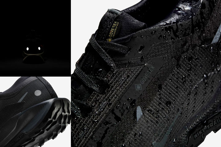 Nike Pegasus Trail 5 Gore-Tex