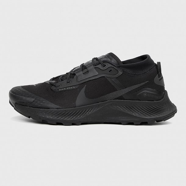 Кроссовки Nike Pegasus Trail 3 Gore-Tex