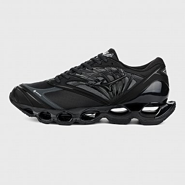 Кроссовки Mizuno Wave Prophecy Ls Gore-tex черный, артикул D1GA2560-01