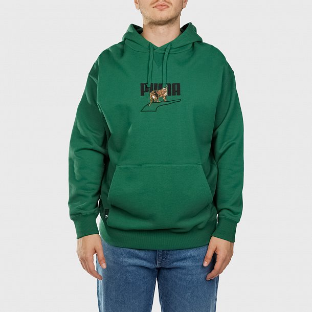 Толстовка Puma Downtown Graphic Hoodie