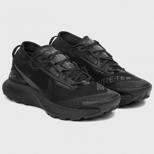 Кроссовки Nike Pegasus Trail 3 Gore-Tex - фото 1